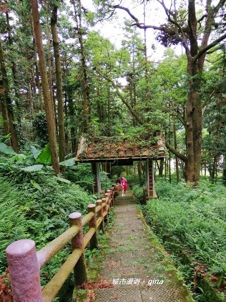 IMG_20190824_105956.jpg IMG_20190824_105956.jpg