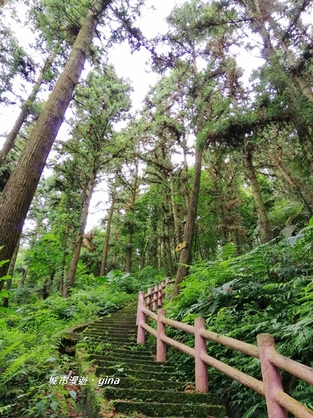 【苗栗頭屋】悠悠古道森林浴。 鳴鳳山遊憩區