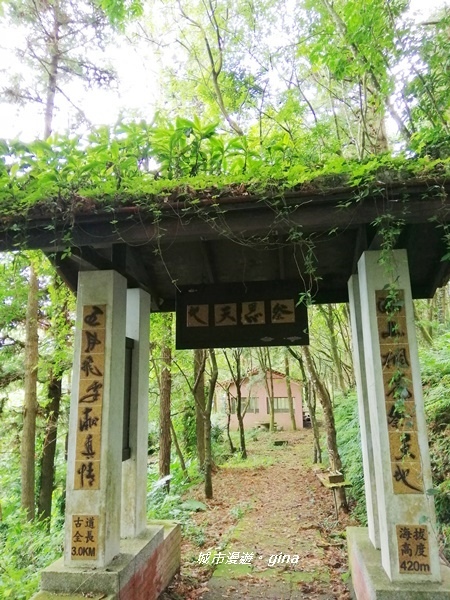 IMG_20190824_110547.jpg IMG_20190824_110547.jpg