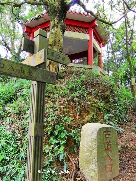 【苗栗頭屋】悠悠古道森林浴。 鳴鳳山遊憩區