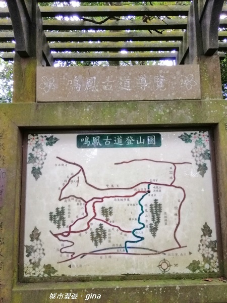 IMG_20190824_111423.jpg IMG_20190824_111423.jpg