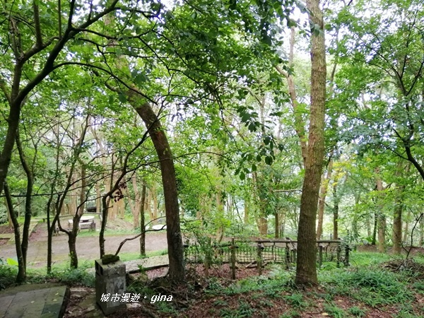 IMG_20190824_112203.jpg IMG_20190824_112203.jpg