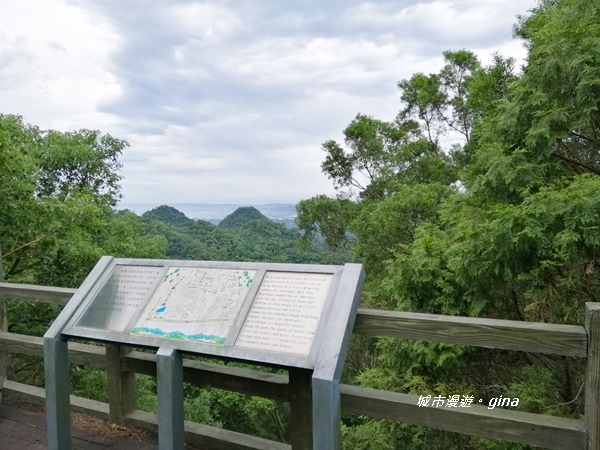 IMG_20190824_112821.jpg IMG_20190824_112821.jpg