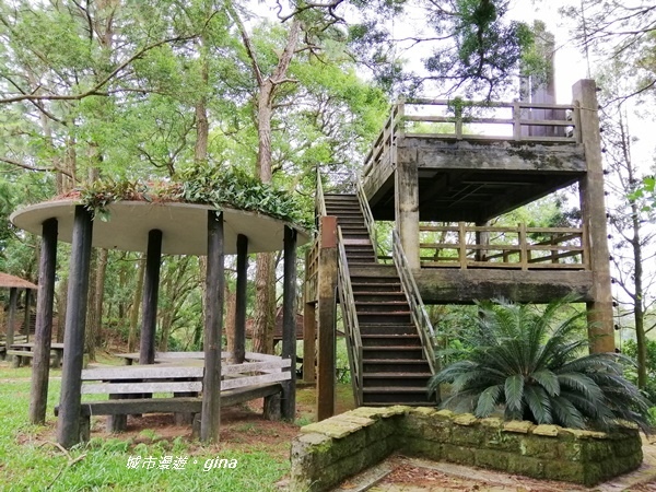 IMG_20190824_112719.jpg IMG_20190824_112719.jpg