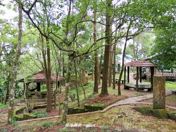 IMG_20190824_113421.jpg IMG_20190824_113421.jpg