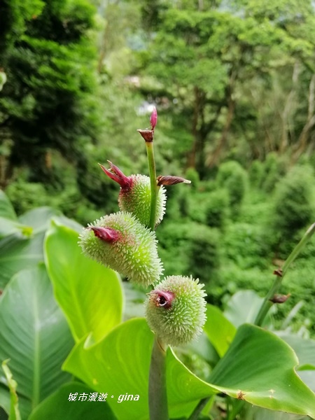 IMG_20190824_113732.jpg IMG_20190824_113732.jpg