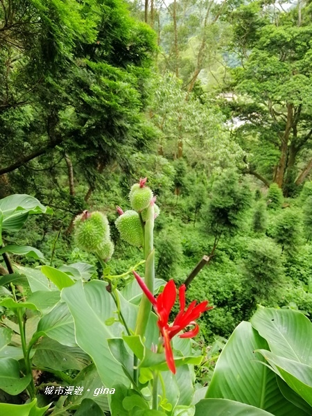 IMG_20190824_113747.jpg IMG_20190824_113747.jpg