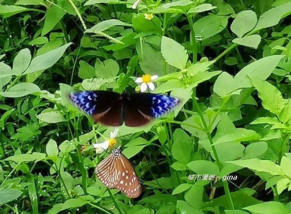 IMG_20190824_113748.jpg IMG_20190824_113748.jpg