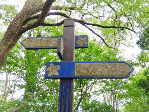 IMG_20190824_114104.jpg IMG_20190824_114104.jpg