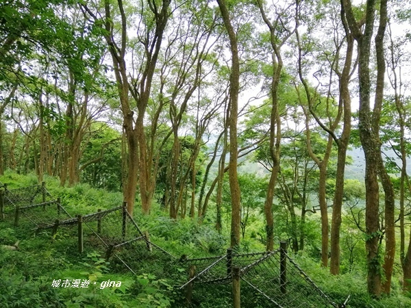 IMG_20190824_114117.jpg IMG_20190824_114117.jpg