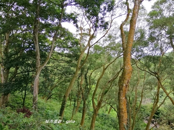 IMG_20190824_121155.jpg IMG_20190824_121155.jpg