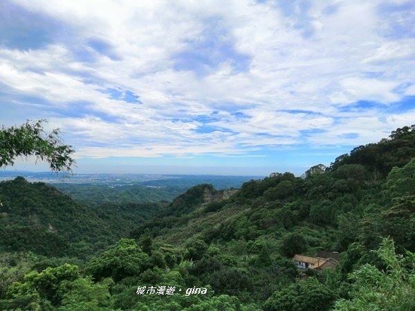 IMG_20190824_121858.jpg IMG_20190824_121858.jpg