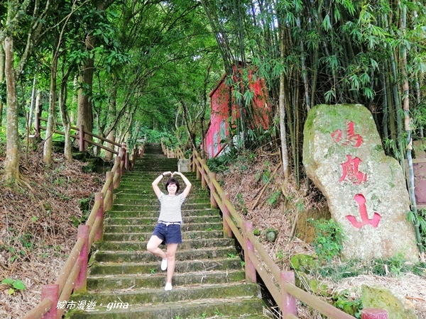 【苗栗頭屋】悠悠古道森林浴。 鳴鳳山遊憩區