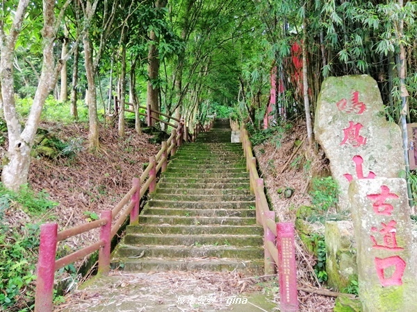 IMG_20190824_122904.jpg IMG_20190824_122904.jpg