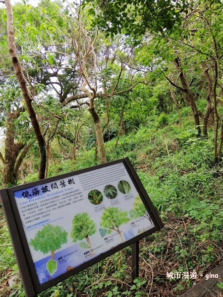 IMG_20190905_140217.jpg IMG_20190905_140217.jpg