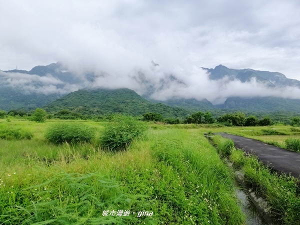 IMG_20190906_150702.jpg IMG_20190906_150702.jpg