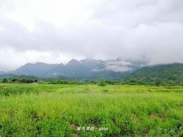 IMG_20190906_152916.jpg IMG_20190906_152916.jpg