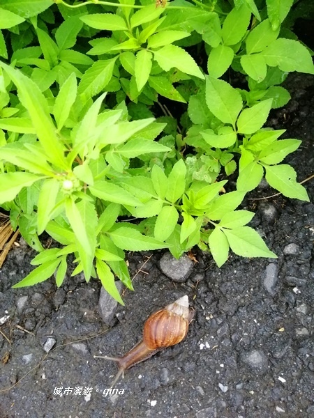 IMG_20190906_153049.jpg IMG_20190906_153049.jpg