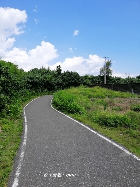 IMG_20190908_101423.jpg IMG_20190908_101423.jpg