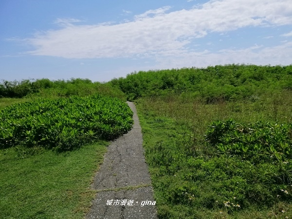 IMG_20190908_101622.jpg IMG_20190908_101622.jpg