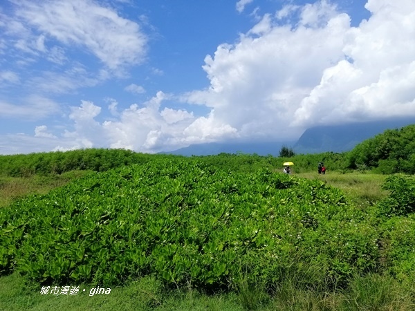 IMG_20190908_102817.jpg IMG_20190908_102817.jpg