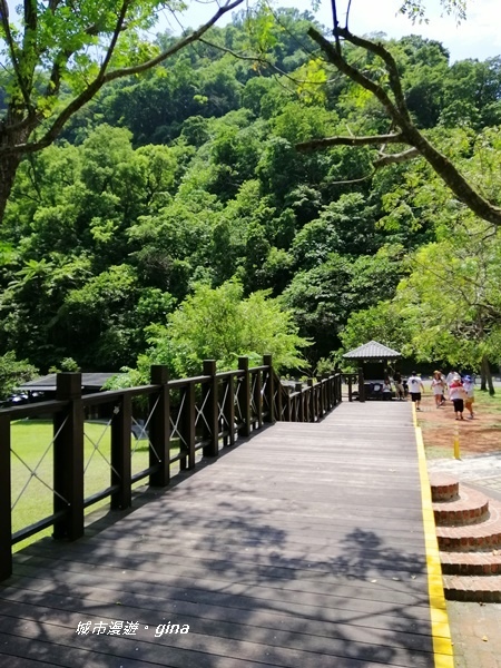 IMG_20190908_120023.jpg IMG_20190908_120023.jpg