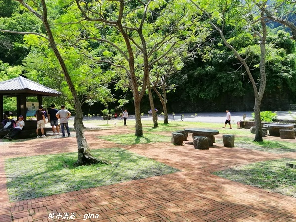 IMG_20190908_120230.jpg IMG_20190908_120230.jpg