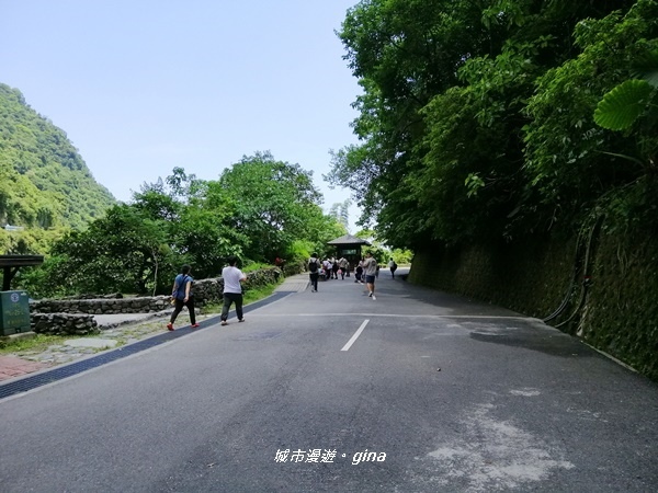 IMG_20190908_120604.jpg IMG_20190908_120604.jpg