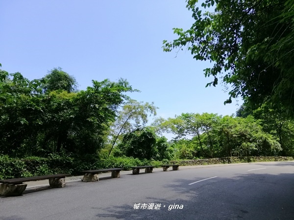 IMG_20190908_120704.jpg IMG_20190908_120704.jpg