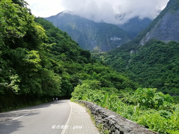 IMG_20190908_121106.jpg IMG_20190908_121106.jpg