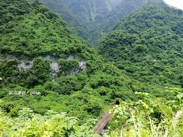 IMG_20190908_121110.jpg IMG_20190908_121110.jpg