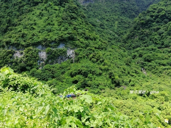 IMG_20190908_121404.jpg IMG_20190908_121404.jpg