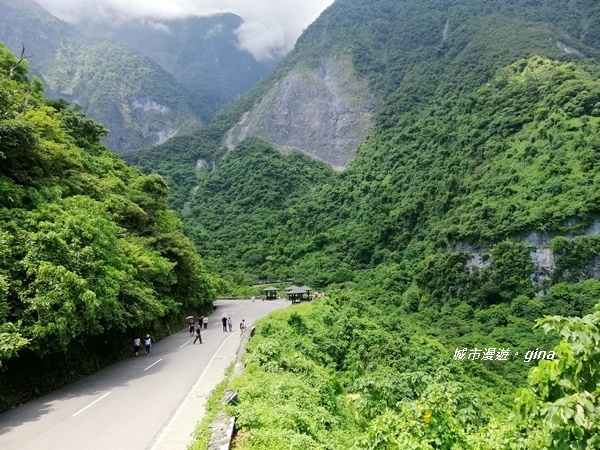 IMG_20190908_121559.jpg IMG_20190908_121559.jpg