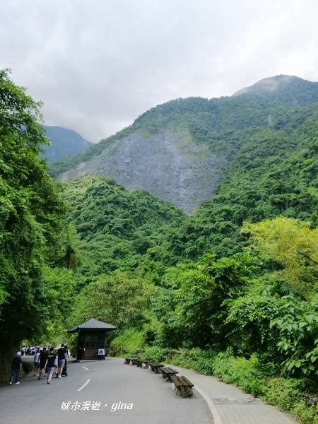 IMG_20190908_123125.jpg IMG_20190908_123125.jpg