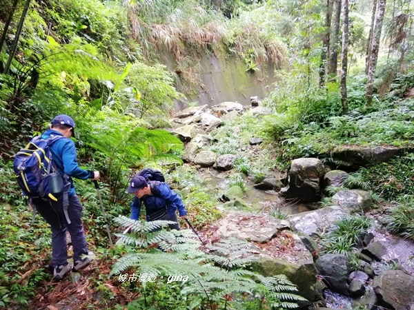 IMG_20190921_090943.jpg IMG_20190921_090943.jpg