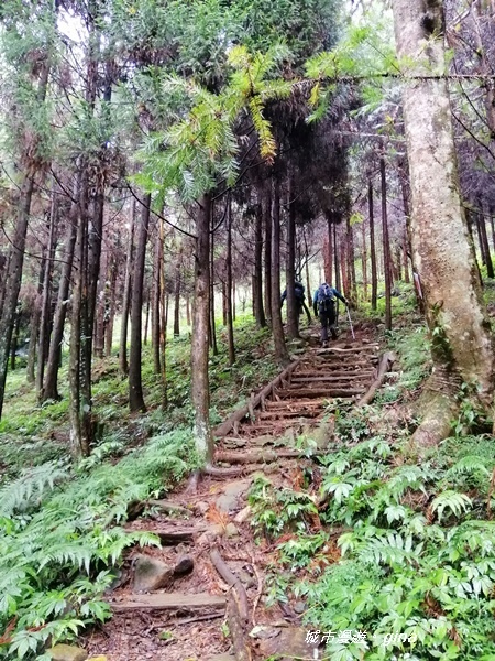 IMG_20190921_091939.jpg IMG_20190921_091939.jpg