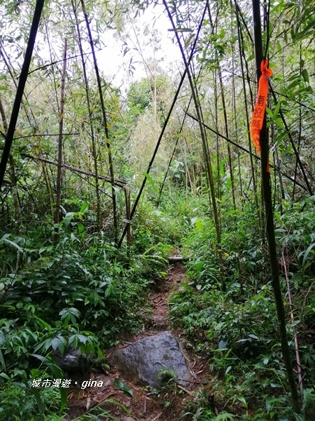 IMG_20190921_092123.jpg IMG_20190921_092123.jpg