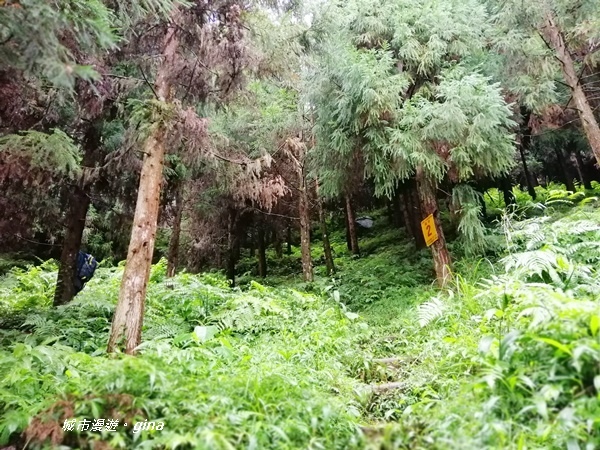 IMG_20190921_092523.jpg IMG_20190921_092523.jpg