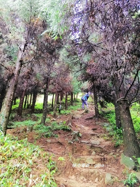 IMG_20190921_092910.jpg IMG_20190921_092910.jpg