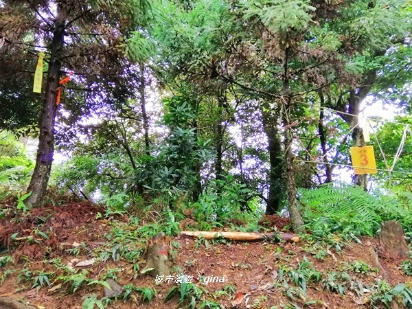 IMG_20190921_093304.jpg IMG_20190921_093304.jpg