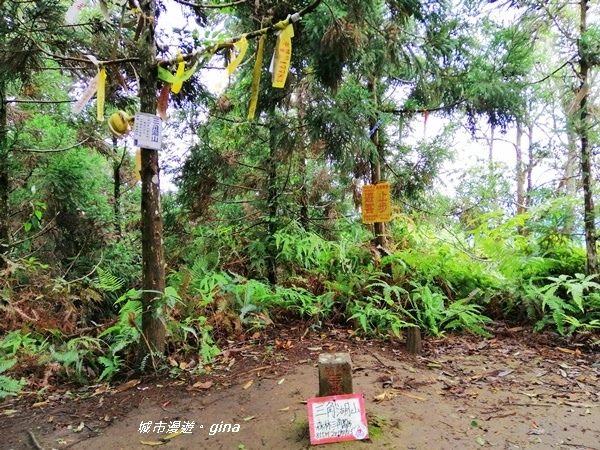 IMG_20190921_094646.jpg IMG_20190921_094646.jpg