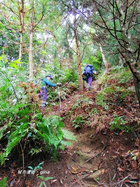 【苗栗南庄】優美山林綠意盎然。 三角湖山 x No32小百岳