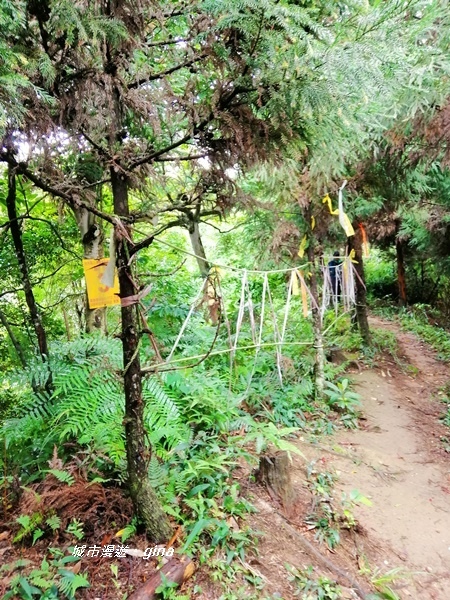 IMG_20190921_095325.jpg IMG_20190921_095325.jpg