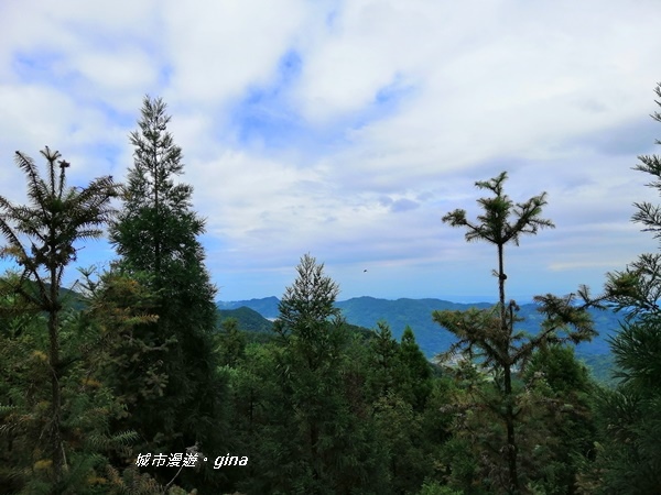 【苗栗南庄】優美山林綠意盎然。 三角湖山 x No32小百岳