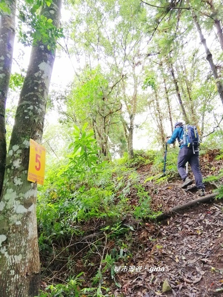 IMG_20190921_102434.jpg IMG_20190921_102434.jpg