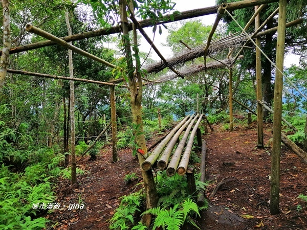 IMG_20190921_103643.jpg IMG_20190921_103643.jpg