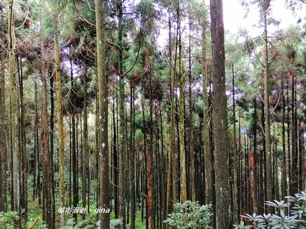 IMG_20190921_104124.jpg IMG_20190921_104124.jpg