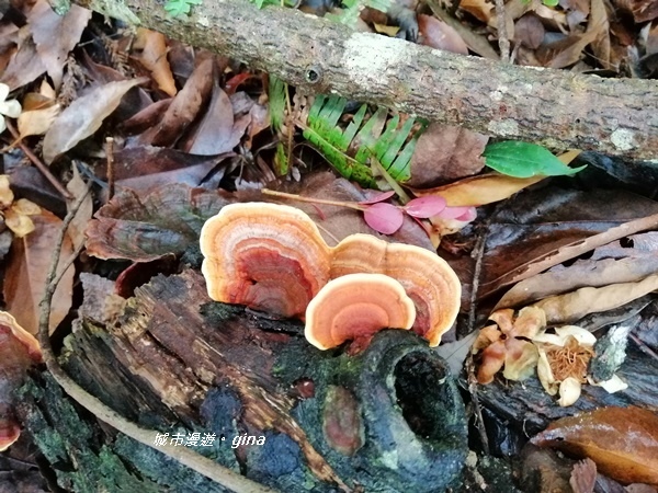 IMG_20190921_104448.jpg IMG_20190921_104448.jpg