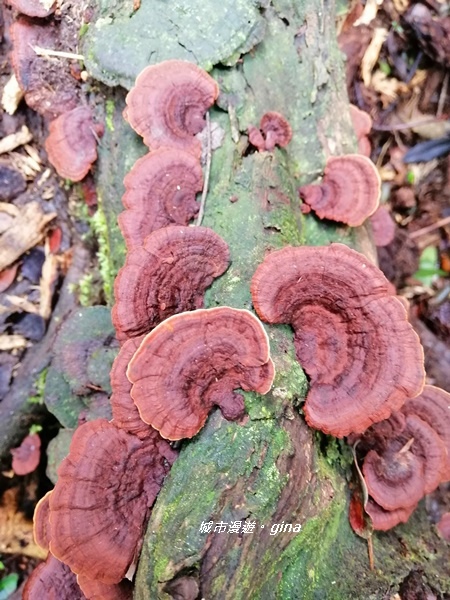 IMG_20190921_105926.jpg IMG_20190921_105926.jpg