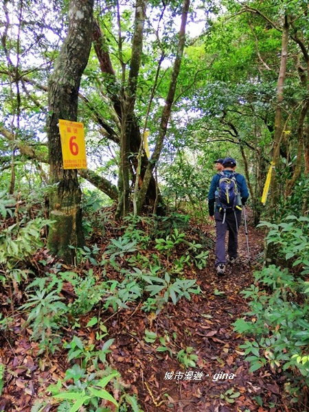 【苗栗南庄】優美山林綠意盎然。 三角湖山 x No32小百岳